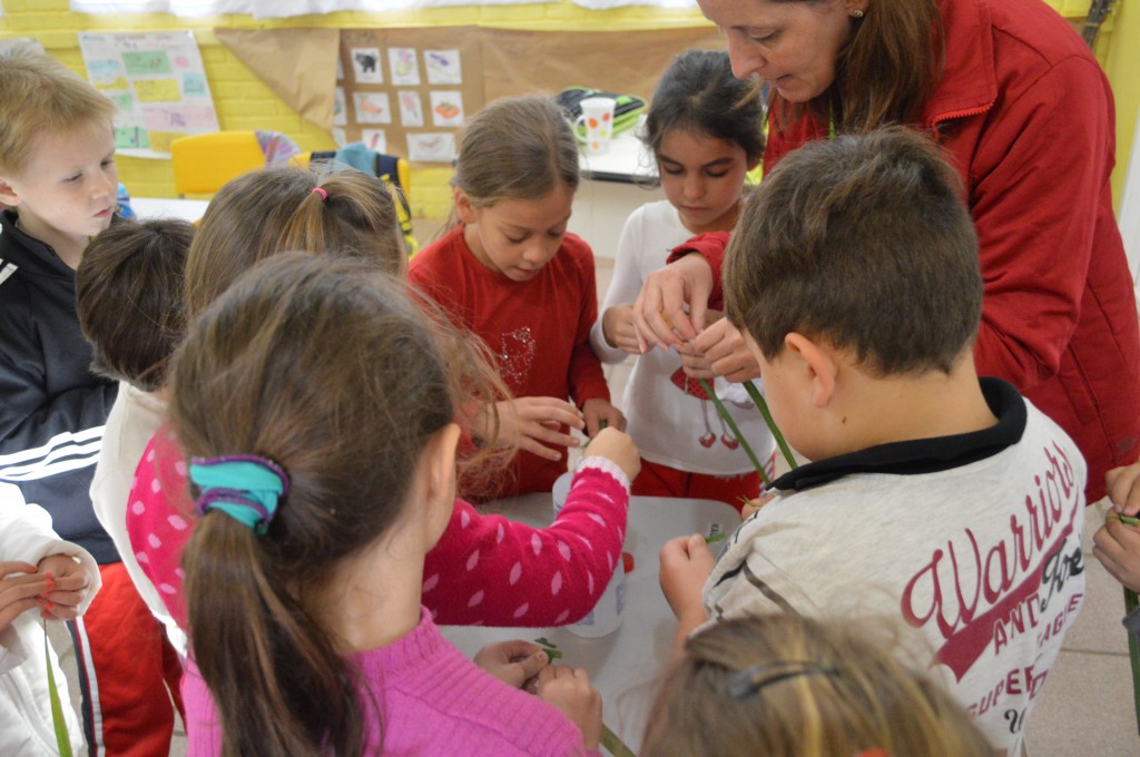 Alunos fazem repelente natural contra o Aedes aegypti
