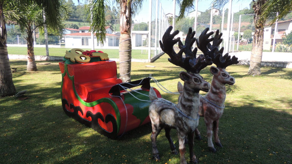 Foto do álbum "Praça Municipal recebe decoração Natalina", 2020